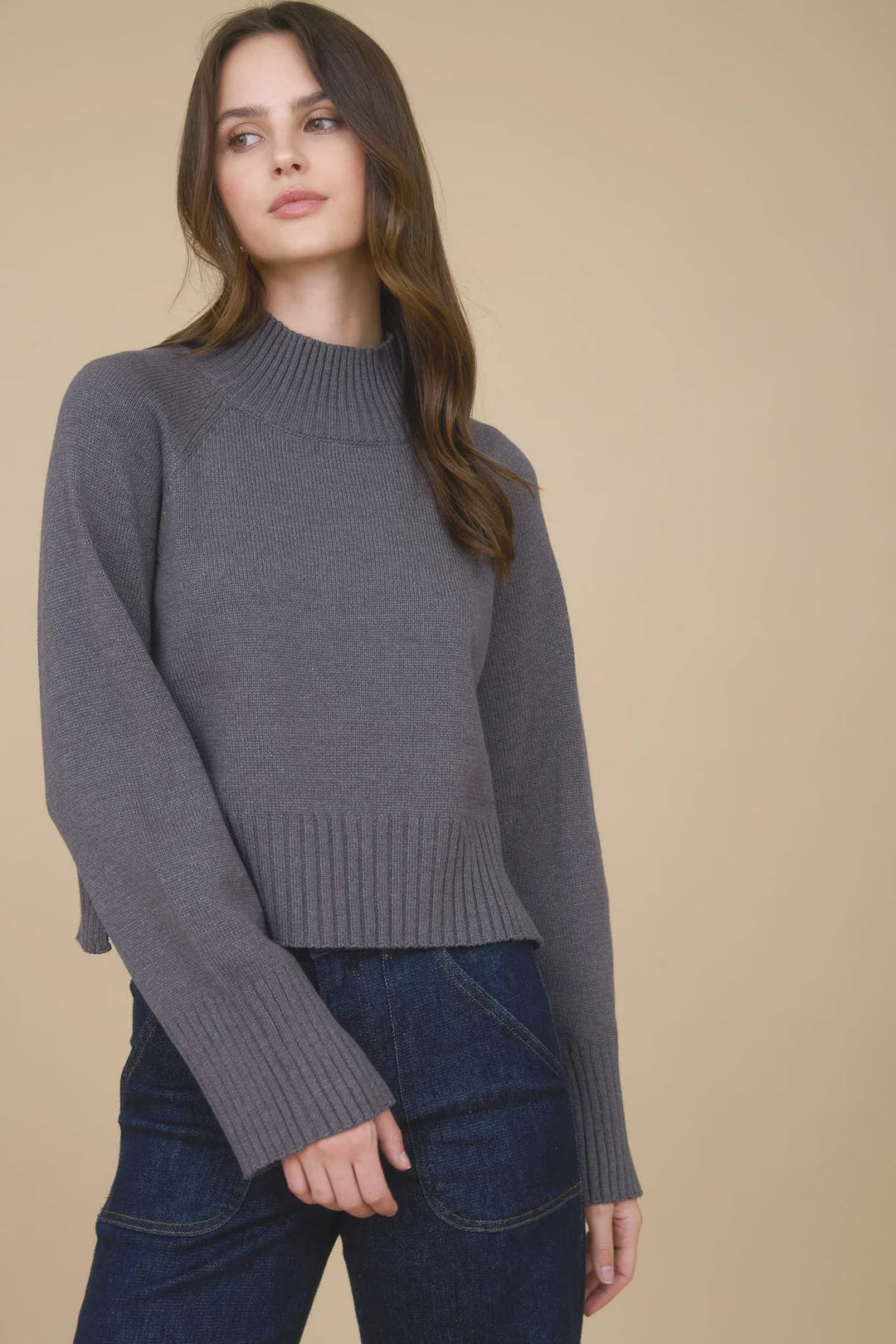 Brinn Mock Neck Sweater