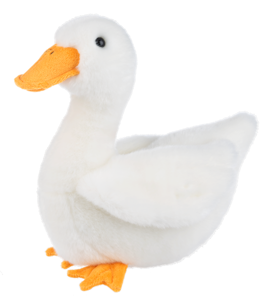 Heritage Duck