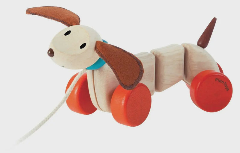 Happy Puppy Pull Toy