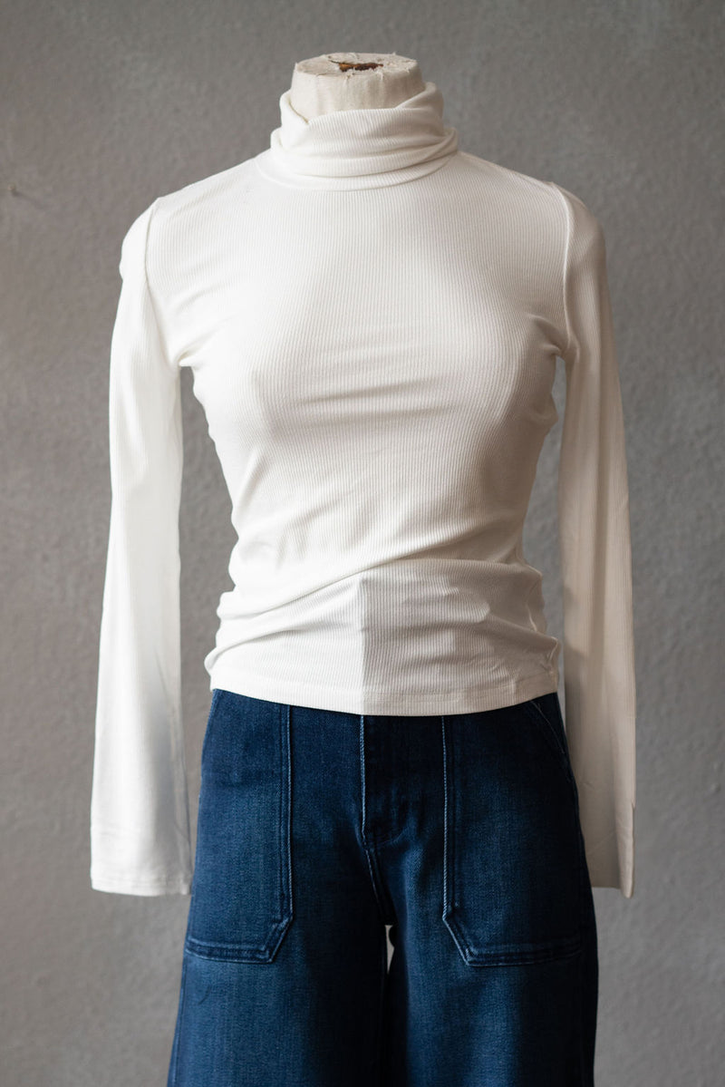 Basic Turtleneck